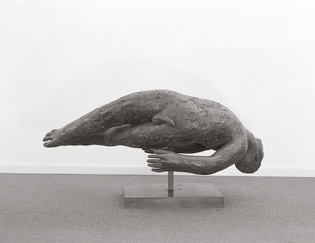 Gauja (Schuld) 2001-2002