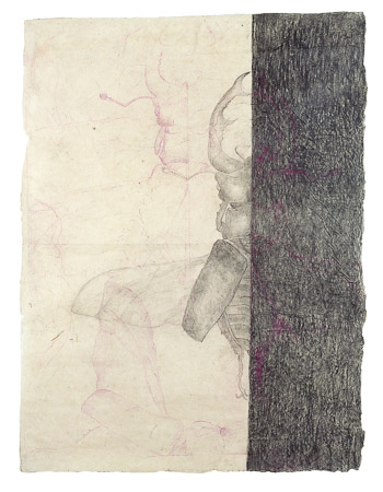 Hirschkäfer, 1998, 75 x 100 cm, Graphit und Farbstift auf Büttenpapier